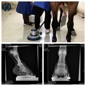 Máquina Portátil de Rayos X para Diagnóstico Veterinario con Certificación CE, Unidad de Rayos X para Animales Comerciales y Domésticos con Detector - Product Image 6