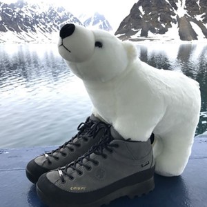 Vente en gros de jouets en peluche mignons (ours polaire, phoque bouffant), en coton, grandes et mini tailles, pour <span class=keywords><strong>la</strong></span> Saint-Valentin, anti-stress, pour <span class=keywords><strong>la</strong></span> réflexion et <span class=keywords><strong>la</strong></span> relaxation - Product Image 5