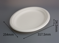 Ensemble d'assiettes rondes jetables en bagasse de canne à sucre, plusieurs tailles, compostables et biodégradables, pour pique-nique, maison, anniversaire, réunion