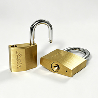 Cadenas antivol de sécurité à logo personnalisé, en laiton massif de 30 mm, type D, à double levier, avec clé primaire et secondaire, en acier