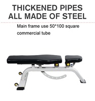 Nouveau Banc de Musculation Commercial en Métal Réglable avec Poids, pour Sit-ups et Hyperextension, Idéal pour la Musculation