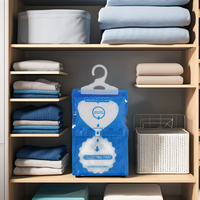 Déshumidificateur domestique anti-humidité, absorbeur d'humidité, sac déshydratant, éliminateur d'odeurs et de brumes