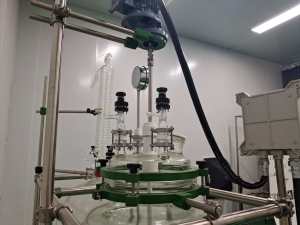 50L 100L 200L 300L 500L 진공 결정화기 재킷형 유리 파일럿 스케일 결정화 반응기 필터 플레이트 포함 - Product Image 6