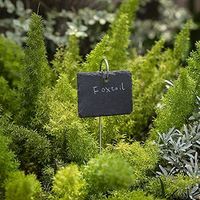 Großhandel Schiefer Pflanze Etiketten Wetterfeste Garten Zeichen Stein Blank Marker Tags Mit Edelstahl Pfähle