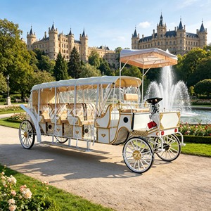 Nuevo Diseño de Vehículo Eléctrico Turístico de 4 Ruedas y 4 Pasajeros con 2 Años de Garantía para Uso Comercial en Parques de Atracciones y Atracciones Turísticas - Product Image 5