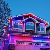 クリスマスLEDライトフルカラーポイント光源30mm屋外IP68防水12vws2811 LED RGB 5050ピクセルLEDポイントライト