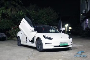 Kit Speciale per Porte Verticali Stile Lambo per Tesla Model 3 - Product Image 3