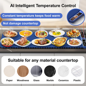 Tapis chauffant électrique portable extra large personnalisé 550W en silicone pour garder les aliments au chaud, pliable - Product Image 3