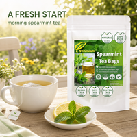 Sachets de thé aux feuilles de menthe verte OEM, 60 sachets de 2g, qualité supérieure, pur, frais, apaisant, détoxifiant, énergisant, rafraîchissant, bien-être