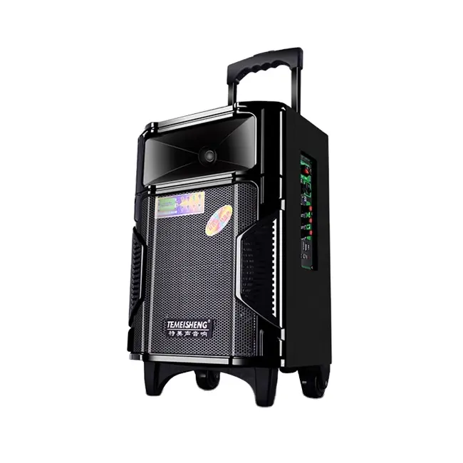 Temeisheng 8 Inch Big Power Big Bass Hig Quality Tws Professional Stype Partybox Trolley Speaker A8-12