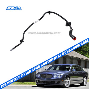 Manguera de vacío para coche, piezas originales nuevas de alta gama para Bentley Flying Spur 2009 Continental GT OE 3W1612041AN - Product Image 2
