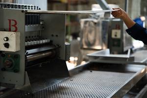 Línea de Descascarillado de Anacardos Tipo 1, Cabezal de Corte de 3 Cuchillas, Capacidad 70-100 kg/h, Totalmente Automática, Alta Calidad - Product Image 5