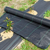 Tissu de contrôle des adventices noir en PP, très vendu, tapis de protection agricole contre les mauvaises herbes, rouleau de couverture de sol tricoté