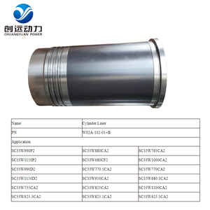 CYPOWER Shanghai Dongfeng SDEC Barco marino Barco Diesel Motor G128 Cilindro Liner Kit 2017 + B Proveedor