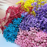 Bunga Gypsophila Paniculata Kering Alami Warna-warni Abadi Awet untuk Dekorasi Pernikahan Grosir