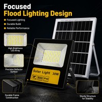 Lampu Sorot LED Tenaga Surya Terintegrasi Tahan Air IP66 30W 60W 80W 100W Hemat Energi untuk Penerangan Jalan, Taman, dan Perkemahan Luar Ruangan