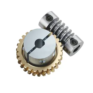 Worm Gear Hot Sale Customized Worm And Pinion Gears Stainless Steel Worm Gear