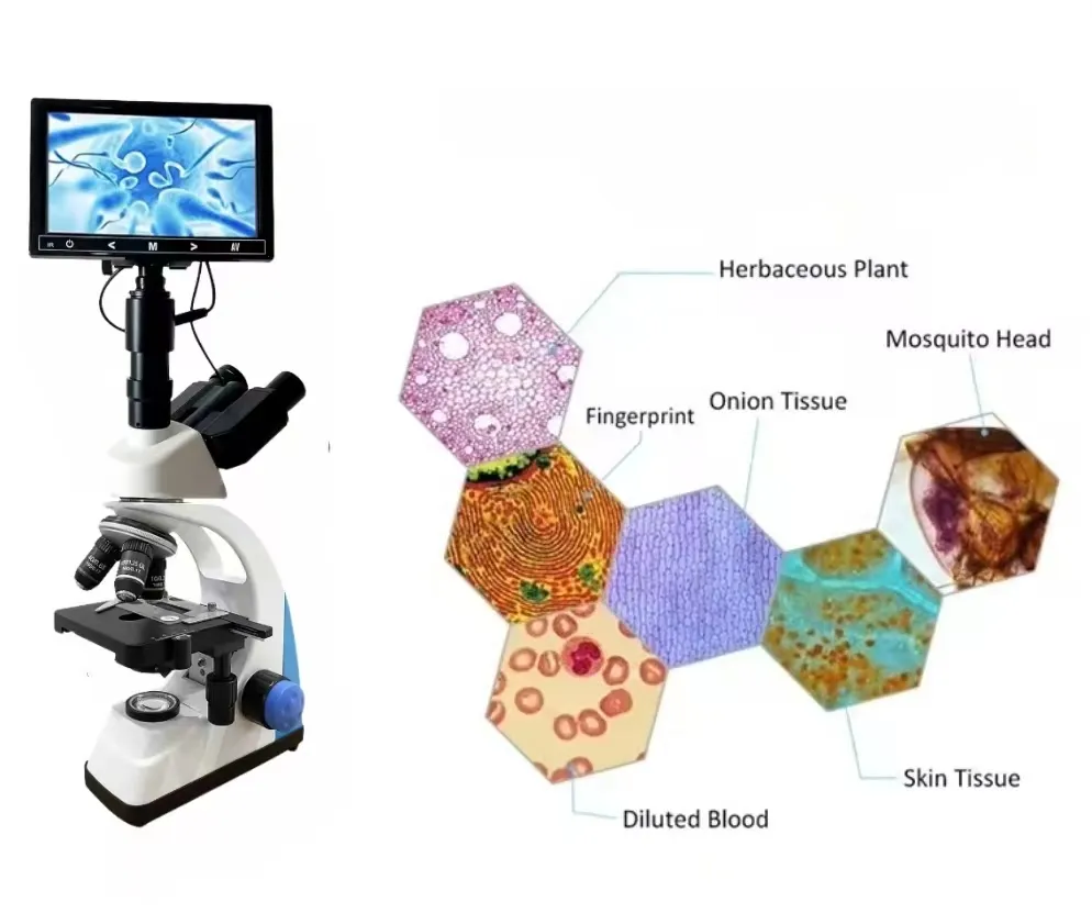 XSP-506V Werkslieferung Labor optisches dreieckiges biologisches Mikroskop mit 5/7/9 Zoll Anzeigebildschirm digitales Mikroskop