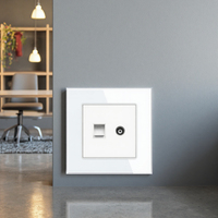 Puerto Universal para Computadora Delviz, Adaptador de Módulo RJ45, Panel de Vidrio sin Logotipo, Interfaz CAT5E, Cable de Red + Enchufe de Pared para TV