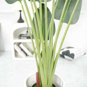 Venta caliente planta verde artificial pájaro <span class=keywords><strong>del</strong></span> <span class=keywords><strong>paraíso</strong></span> planta en maceta adecuada para decoraciones de centros comerciales bonsái de plantas artificiales - Product Image 4