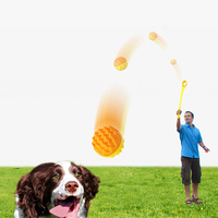 Stock de jouets d'extérieur pour animaux de compagnie, balle interactive télescopique automatique pour animaux de compagnie, jouets d'entraînement pour chiens molaires grinçants, lanceur de balles à la main