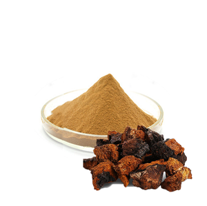 핫 세일 차가 추출물 분말 차가 다당류 20% 식품 등급 차가 버섯 추출물 - Product Image 1