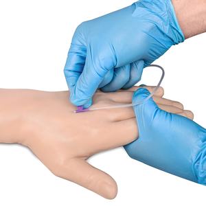 หุ่นซิลิโคนฝึกฉีดยา IV สำหรับฝึกการเจาะเลือดและเจาะเส้นเลือดในโรงเรียนพยาบาล - Product Image 4