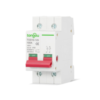 Interrupteur isolateur 230V AC 2P 63A 125A MCB Montage sur rail DIN Certifié CE Certifié CB Norme IEC60947-2