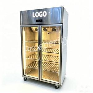 Réfrigérateur commercial à double porte vitrée avec logo personnalisé - Étagère en acier inoxydable, réfrigérateur vertical, éclairage LED tricolore C2C Do - Product Image 5