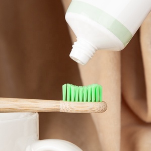 Gloway LOGO Oem <span class=keywords><strong>Brosse</strong></span> <span class=keywords><strong>à</strong></span> dents en bambou naturel <span class=keywords><strong>à</strong></span> poils souples biodégradable et compostable écologique sans BPA pour enfants <span class=keywords><strong>ou</strong></span> adultes - Product Image 2