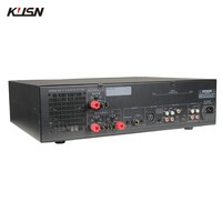 100W + 100W Analog DSP ses güç amplifikatörü 3in1 Karaoke ev sineması KTV ses sistemi odası profesyonel Karaoke amplifikatörü