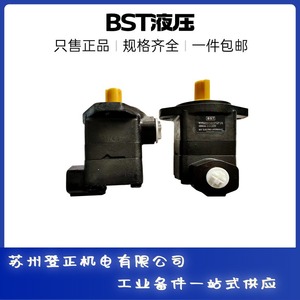 Bomba Hidráulica Bst Sv11c 32 35 R01 C1 de Alta Presión con Doble Paleta para Aplicaciones de Impulso - Product Image 1