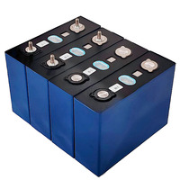 Sel Baterai Prisma LiFePO4 Penyimpan Energi CALB L160F100 3.2V 100Ah untuk Proyek Paket OEM