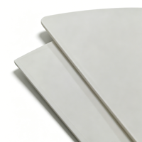 Lámina/Placa/Tablero de PTFE Resistente al Desgaste, Suministro de Fábrica, Lámina de PTFE Modificada con Fibra de Vidrio, Grafito y Bronce