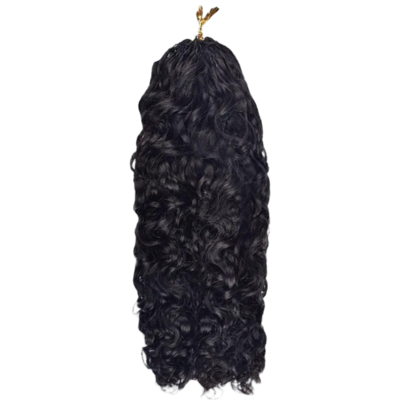 Burmese Curly-1B#