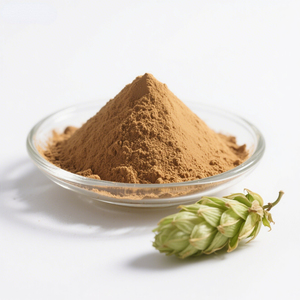 Extracto de Lúpulo en Polvo Health Life Xanthohumol Grado Alimenticio Venta al por Mayor Gran Stock - Product Image 3