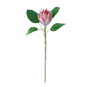 Grosir karangan bunga asli Armour protea pernikahan buatan tangan diy sentuhan nyata buket bunga protea buatan