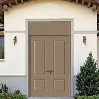 Porte extérieure double en polymère avec design moderne et surface finie pour maison, villa, chambre, supermarché, école, hôtel