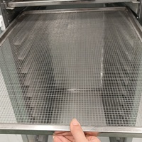 Professionele Dehydrator Fruit Industrieel Vlees Voedsel Cassave Commerciële Roestvrijstalen Groenten Dehydrator Machine