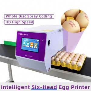 Impresora de Huevos de Gallina de Inyección de Tinta HD Totalmente Automática, Seis Boquillas, 600 DPI, Nueva Condición, Tinta Ecológica para Aplicación en Etiquetas de Ropa - Product Image 2