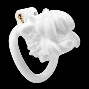 FRRK Sexy gabbia Strapon con cintura maschio dispositivo di castità del pene attaccamento in resina gallo gabbia di castità giocattolo per gli uomini - Product Image 6