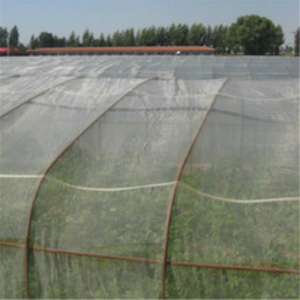 100% HDPE lưới 80 lưới 35g mỗi trọng lượng vuông thông thường côn trùng trắng lưới chống sâu bệnh - Product Image 3