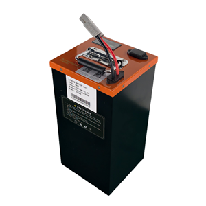 Batterie LiFePO4 étanche IPX5 48V 30Ah à décharge rapide pour tricycles électriques, motos et véhicules électriques - Product Image 2
