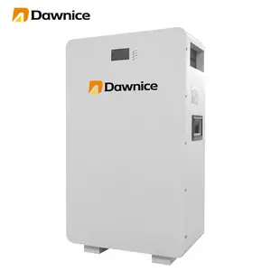Powerwall 48 V Lithium-Ionen-Batterie 100 Ah 200 Ah 10 kWh Lifepo4 Solarbatterie für Zuhause Solarenergiespeicher als Batterie