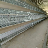 Cage à poulets commerciale, équipement d'élevage avicole en batterie pour poules pondeuses, poulailler pour 96 à 500 poulets