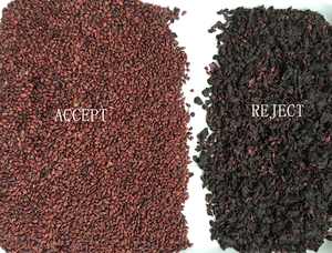 Портативный цветовой сортировщик Wenyao с новейшими технологиями, мини-сортировщик для сухофруктов и изюма - Product Image 6