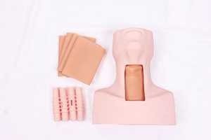 Maniquí de Entrenamiento en Ciencias Médicas, Modelo Avanzado de Entrenamiento en Cirugía de Traqueotomía, Simulador de Tirocricocentesis - Product Image 3