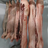 Équipement d'abattage de porcs entièrement automatique, machines d'abattoir de porcs, abattoir mobile pour porcs, machine de transformation