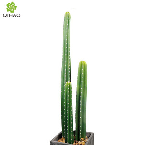 Planta de Cactus Artificial QIHAO de 100-200 cm de Altura, Simulación Realista, Decoración Interior - Product Image 5