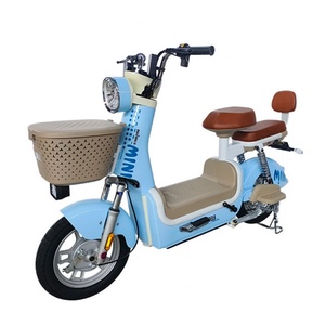 Vélo Électrique de Ville 14 Pouces 350W 48V de Qualité Supérieure avec Cadre en Acier – Vente en Gros - Product Image 1